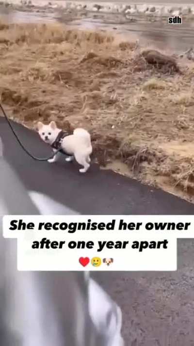 Loyalty!! 