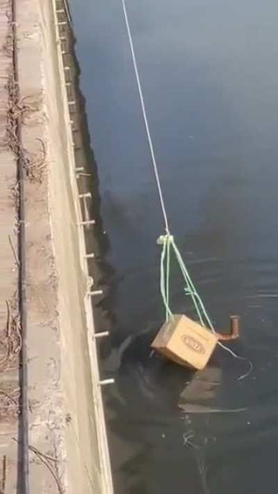 A man saves a cat that&rsquo;s accidentally ended up in the water