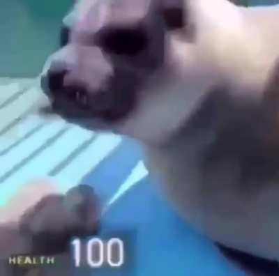 Health restored