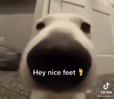 Blursed_sniff
