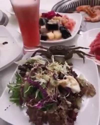 Краб добрался до воды