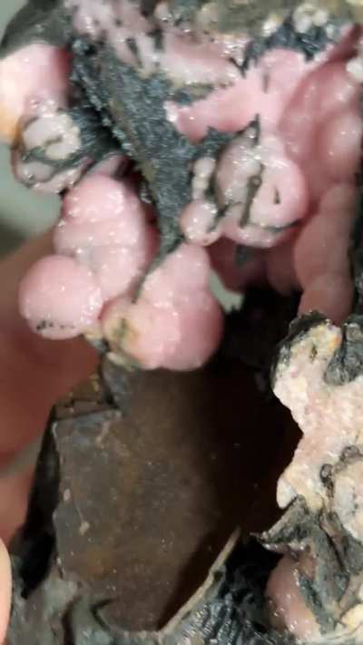 Botryoidal Rhodochrosite