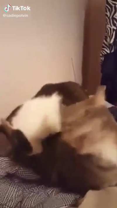 Not my video.