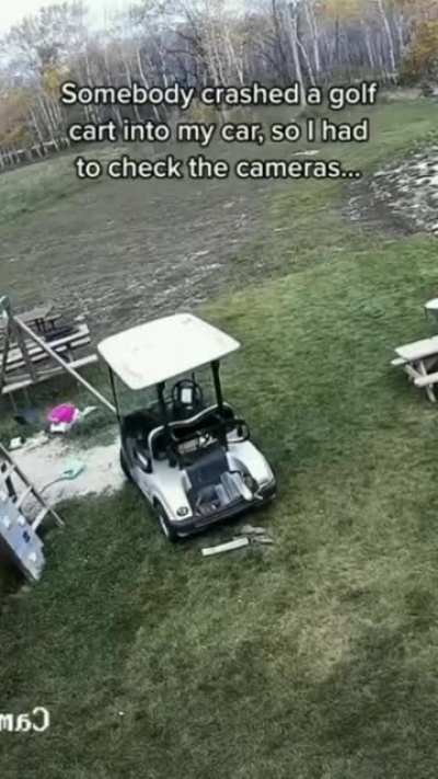 Insurance doesn&rsquo;t cover acts of Dog
