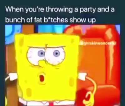 spunhcbob