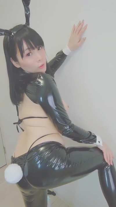 Back and front bunny ❤