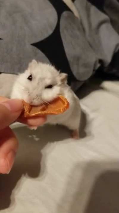 MINE!