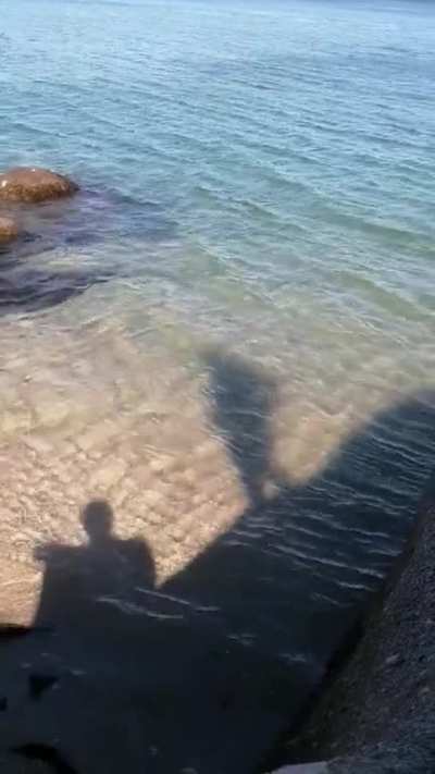 Blursed updoot
