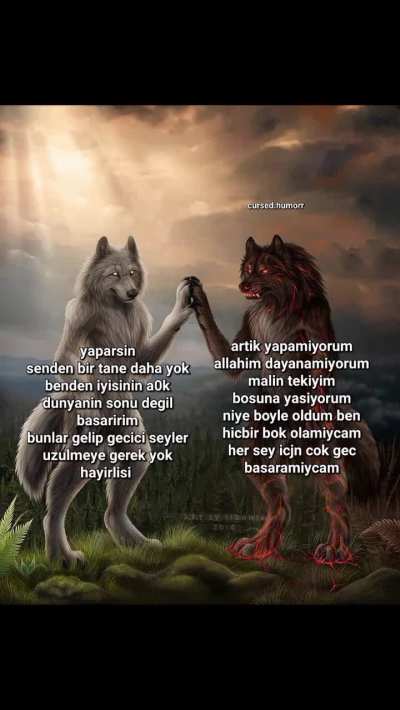 Başo izleyicilerinin 2 y&ouml;n&uuml;