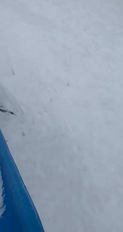 She slipped when I wasn&rsquo;t looking