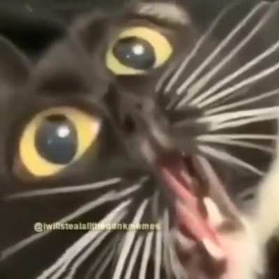 eu depois de ter batido meu dedo do p&eacute; na c&ocirc;moda :((