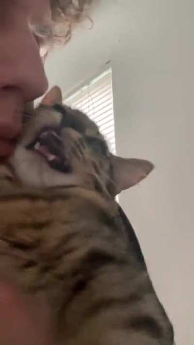 She couldn&rsquo;t meow as a baby kitten lol. Her first squeak