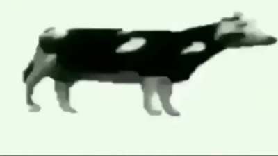 Wait for it...