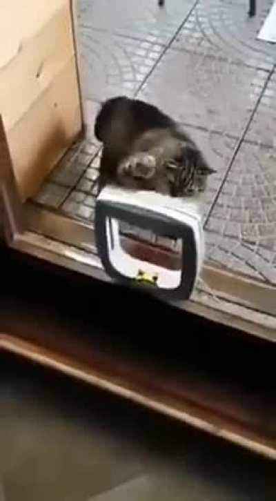 Just training for the next big fight