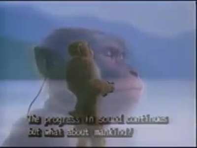 SquarePosting - Video #8838