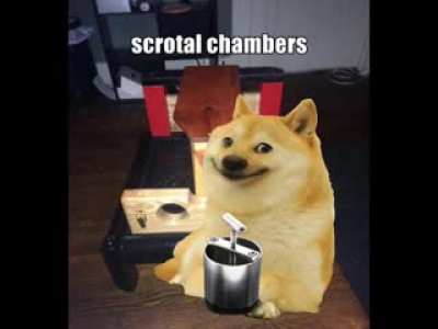 I'm sorry