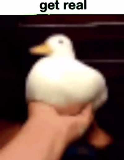 duck rule