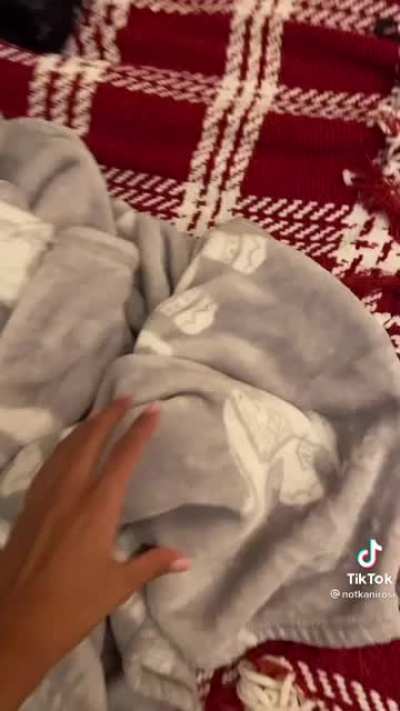 Can't disturb the smol cat