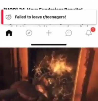 Nooo..