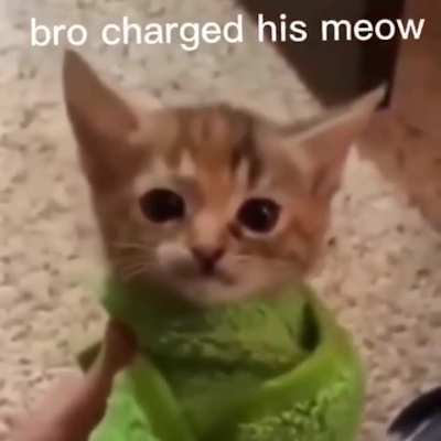meow