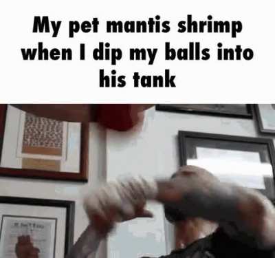 Rule