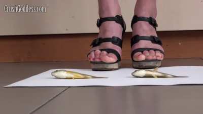 043_anya-glf11-1