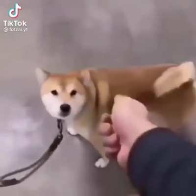 Wholesome 100