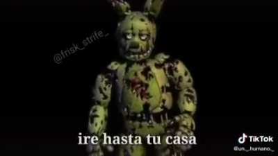 XD