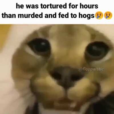 FLOPPA NO