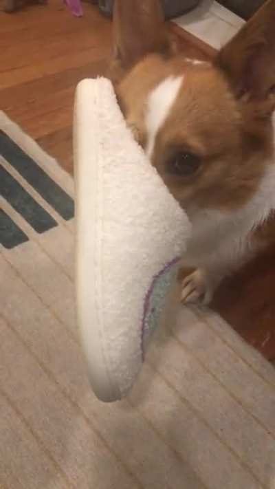 Was wondering why she had a shoe