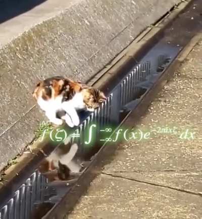An over catculation