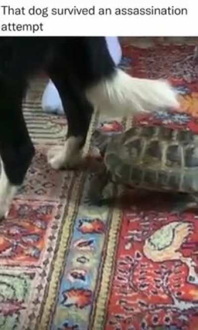 Too slow