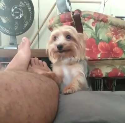 Can you please show a tiny bit of affection?
