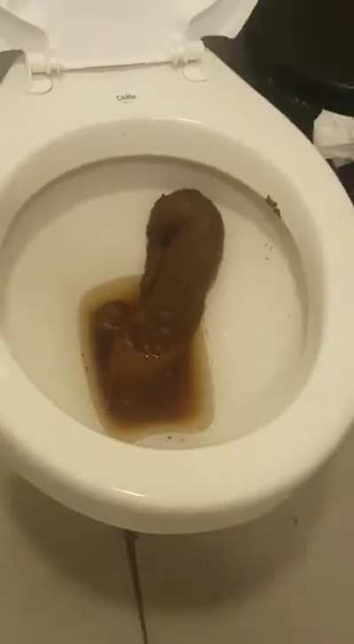When someone leaves poop in the toilet.