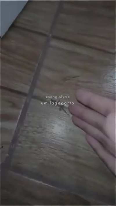 Aa