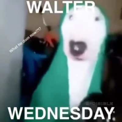 HAPPY WALTER WEDNESDAY!!!!