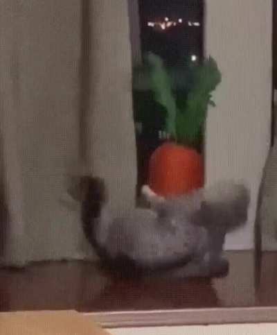 How do you get this carrot..