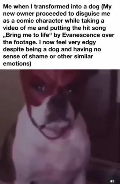 Edgy dawg