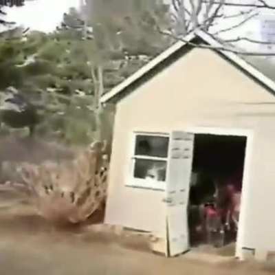 Maybe Maybe Maybe