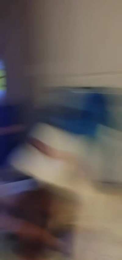 my shithead puppy (love of my life) stepped on my fucking balls