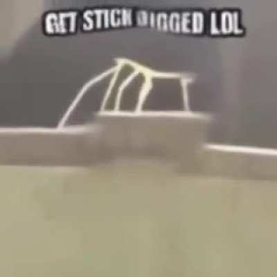Get stick bugged lolololololol