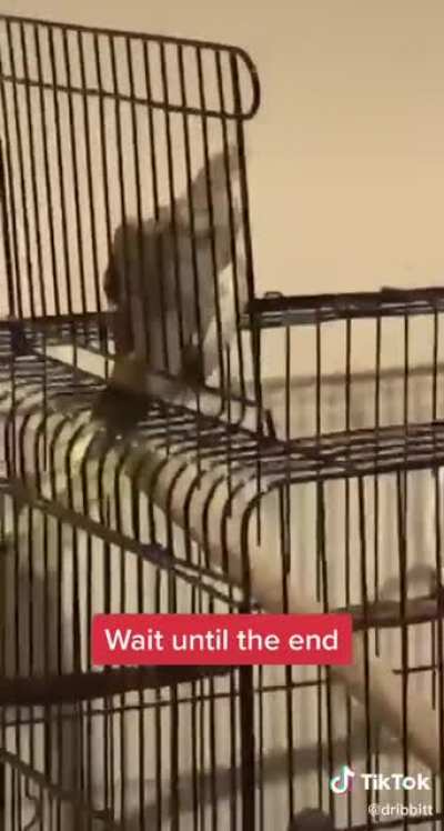Don&rsquo;t do it!