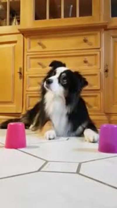 Maybe Maybe Maybe