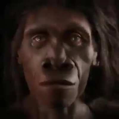 Go back!, become a monke