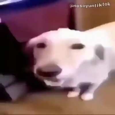 Bem s&oacute; queria dizer WTF