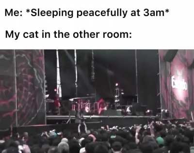 It do be like that