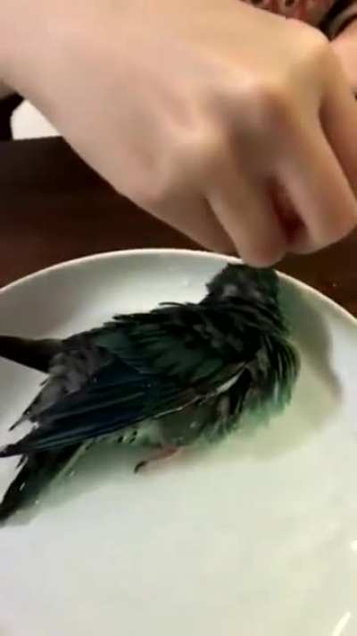 BathTime