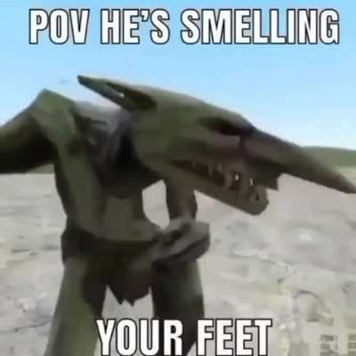 p a t a s