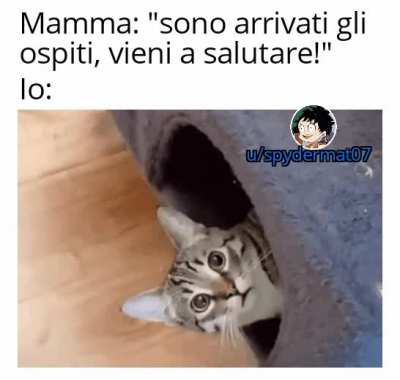 Memino veloce