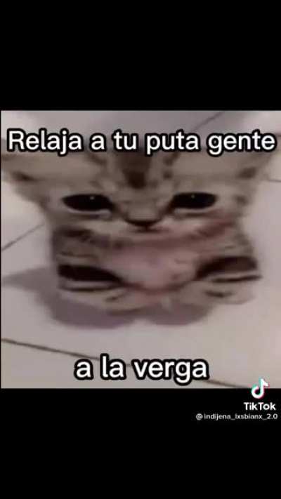 Web 👿